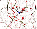 Phosphate glasses for biomedical applications